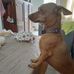Rosaura Duran - Facebook