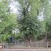 Jardin Rosaura Marquez - Facebook