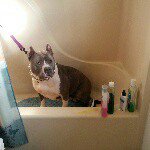 Roscoe Harris - @roscoendiva - Instagram