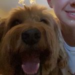 Roscoe Harris - @roscoeh6 - Instagram