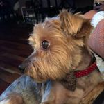 Roscoe Harris/Roscoe P Jenkins - @mayorroscoepharris - Instagram