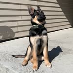 Roscoe Jackson - @primetime_roscoe - Instagram