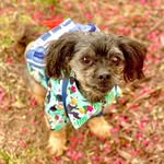Roscoe Jackson - @_roscoejackson_ - Instagram