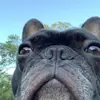 roscoemorrison965 - @roscoemorrison965 - TikTok