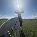 RTM - @roscoe_morrison_ - Instagram