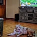 Roscoe Nelson - @rosc357 - Instagram