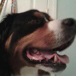 roscoe Wilson - @roscoe.wilson - Instagram