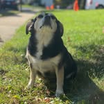 Roscoe Wilson - @princessroscoejenkins - Instagram