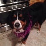 Roscoe Wilson - @rosocoe_wilson - Instagram
