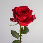 Rose Abeyta - Facebook