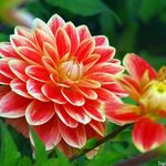 Rose Marie Acker - @rosem0719 - Instagram
