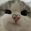 Rose Ackerman - @rose_ackerman - TikTok