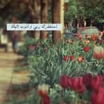 Rose Aden - @roseaden973 - Instagram
