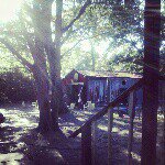 rose adkins - @adkinsrose1964 - Instagram