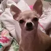 roseadkins35 - @roseadkins35 - TikTok