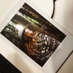 Ella Akers - @ella_rose_akers - Instagram