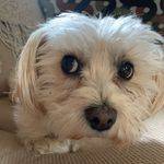 (Rose) Rosebud Akers - @therosebudakers - Instagram