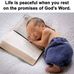 Rose Albert - Facebook