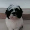 Rose Aldama levy - @rose.aldama.levy - TikTok