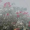 Rose Ann Aldama - @roseannaldama - TikTok