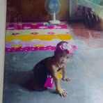 Rose Aldea - Facebook