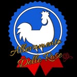 Allevamento Amatoriale delle🌹 - @amatorialeallevamentodellerose - Instagram