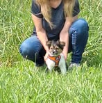 Rose Allgood - Facebook