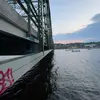 𝐑𝐨𝐬𝐞 - @rose.allgood - TikTok