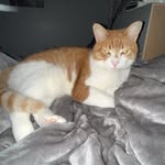 rose - @roseallgood01 - Instagram