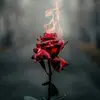 RoseAlternative - @rosealternative - TikTok