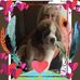 Rose Andersen - Facebook