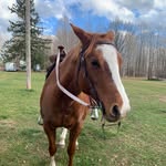Akiva Rose Armbruster - @akiva_2462 - Instagram