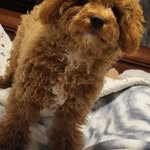 Rosemary Armbruster - @armbruster_rosemary - Instagram