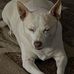 Rose Armijo - Facebook