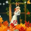 Rose Sauer - @rosesauer - TikTok