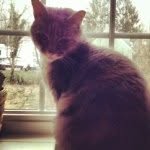 Buddy Rose Bair - @_buddy_luvsu - Instagram