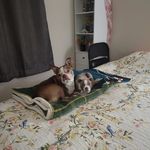 Rose Barrow - @rosebarrow983 - Instagram