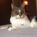 Rose Bartholomew - @rosie_bartholomew - Instagram
