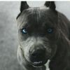 Rose Bartholomew - @rosebartholomew - TikTok