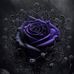 Rose Barwick - Facebook