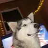 Rosee - @rosee.barwick - TikTok