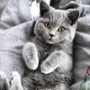 Rose Basa - @rose.basa0 - TikTok