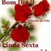 Rose Basso - Facebook