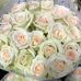 Rose Basso - Facebook