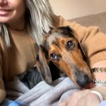 Rose la bassottina 🌹Roby - @rose_bassottina_ - Instagram