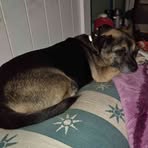 Rose Baxter - Facebook