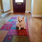 Rose Baxter - Facebook
