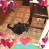 rosie - @rosebeam7 - TikTok