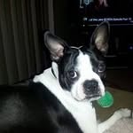 Rose Beasley - @roseb19073 - Instagram