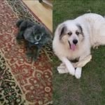 Rose Beasley - @rose.beasley - Instagram